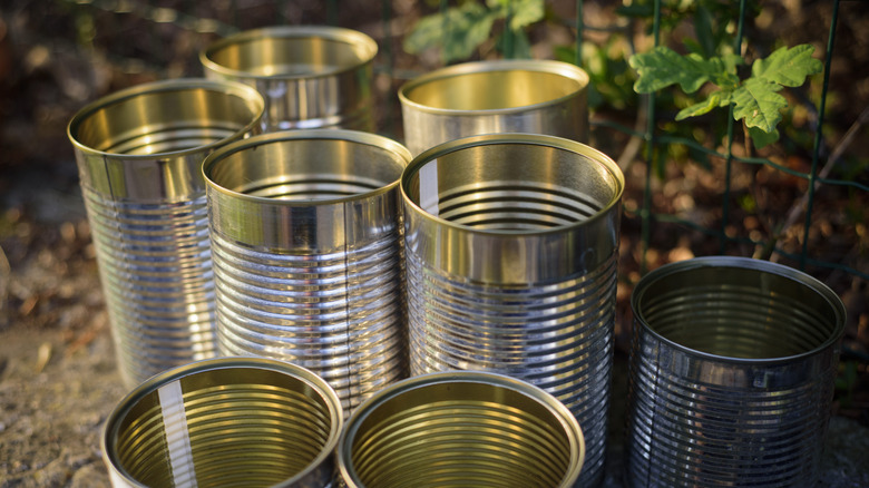 Close up of aluminum cans in garden