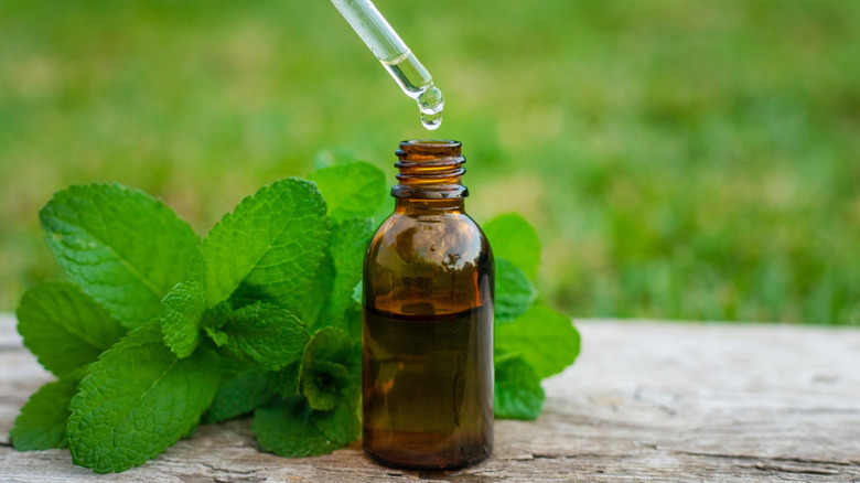 Close up of peppermint essential oil