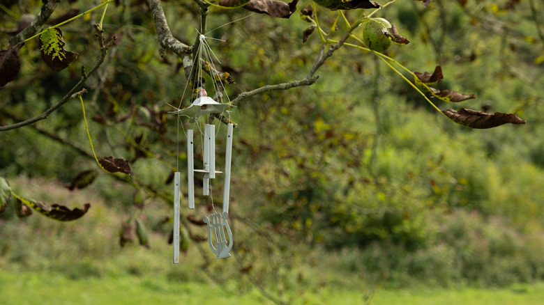 Wind chimes hanging from a tree