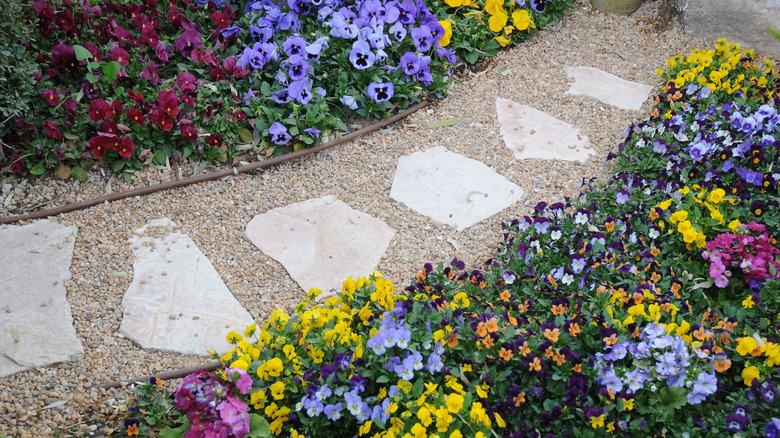 A beautiful gravel garden with a gravel pathway in the center