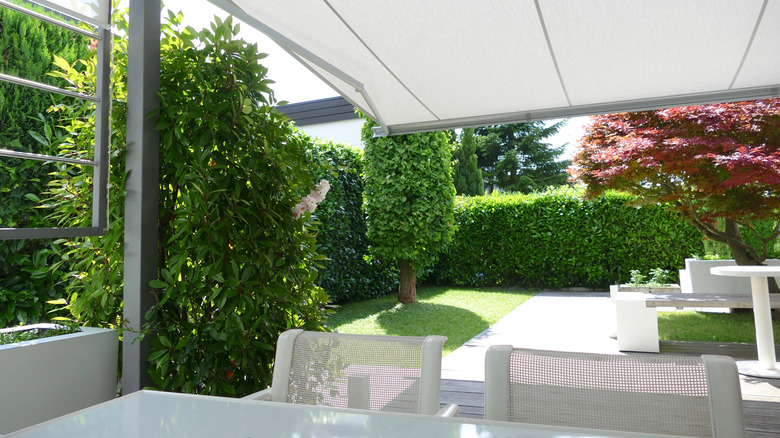 outdoor space with a number of hedges and greenery