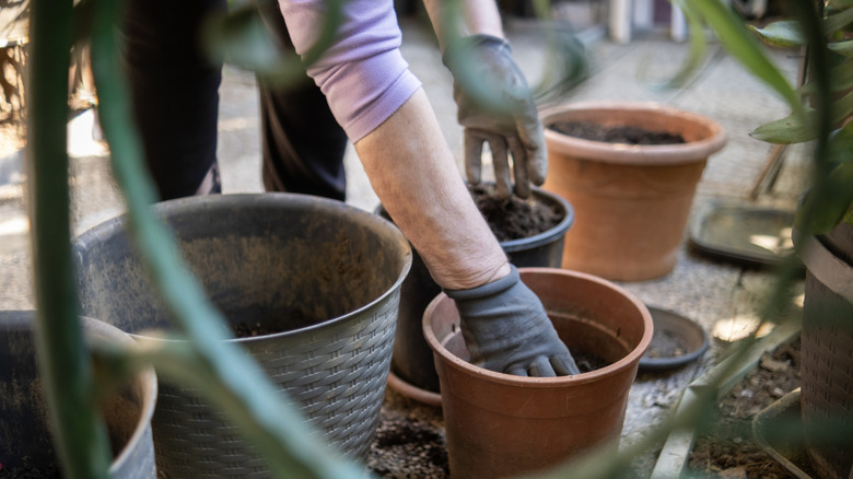 person planting in pots on patio