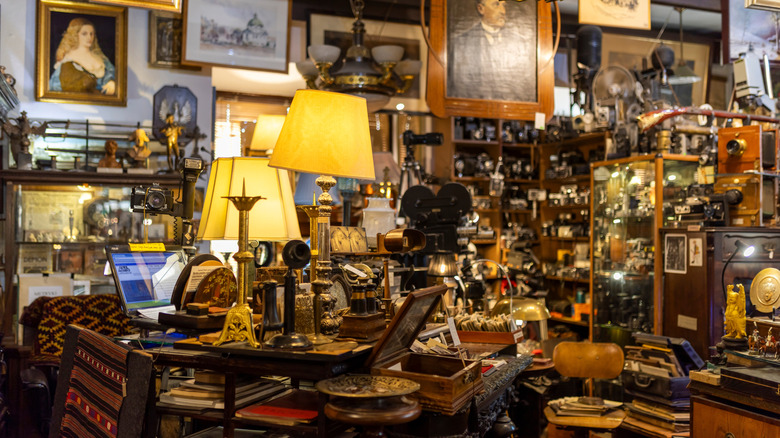 An antique store with lamps, glass cases, art, and other unique items.