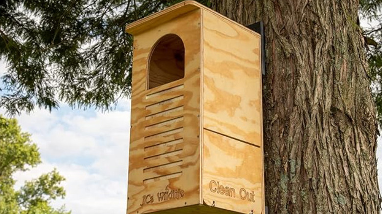 A photo of the JCS barred owl house against a tree trunk