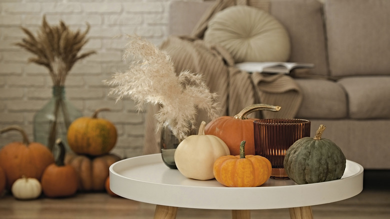 A bunch of pumpkins together in a little coffee table display