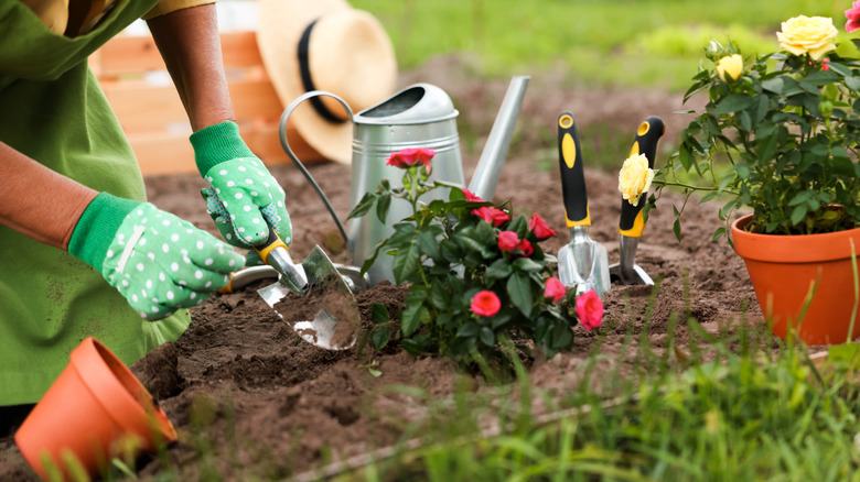 Person planting flowers in their garden with gardening gloves and tools
