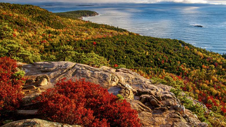 Acadia National Park in the fall