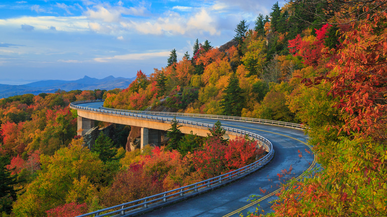 Linn Cove Viaduct, North Carolina