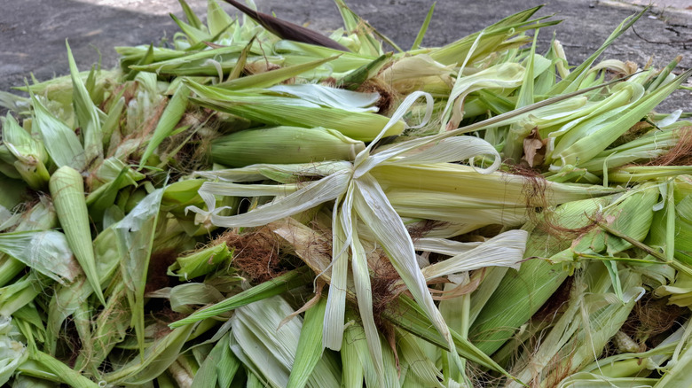 A pile of corn husks used for mulch and compost.
