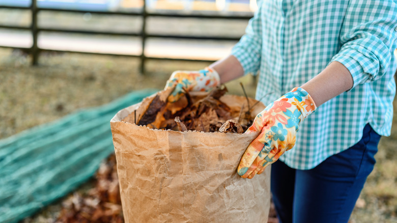 A person wearing gardening gloves holds a paper bag full of fallen leaves in the garden.