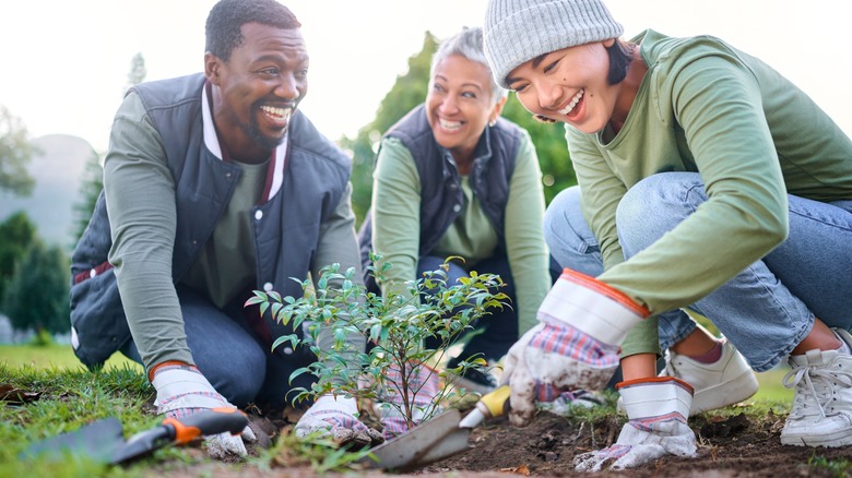 people gardening together