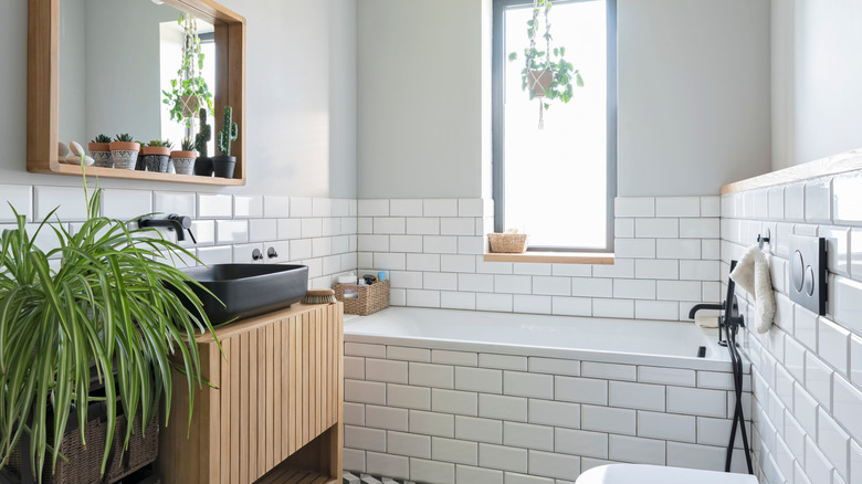 Bathtub in a bathroom that has houseplants