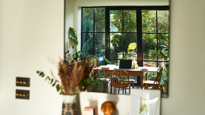 A mirror reflects a backyard view out a large black glass door