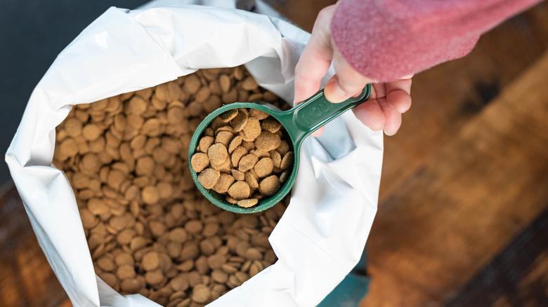 scoop in a bag of pet food
