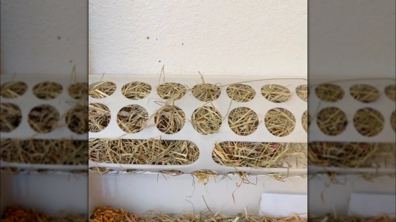 IKEA VARIERA filled with hay and used as a bunny feeder