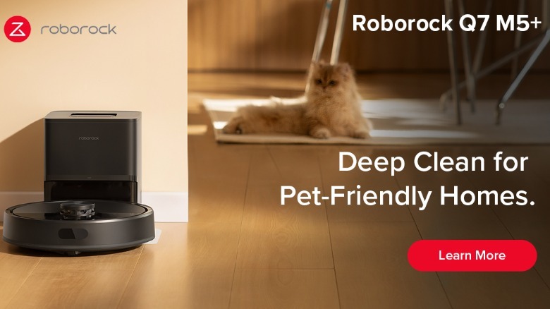 Roborock black Q7 M5+ robot vacuum in home with cat in background