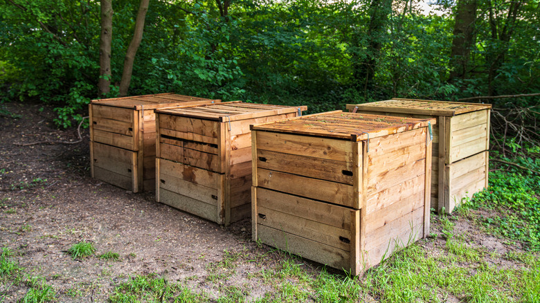 Wooden compost bins in a garden surrounded by trees