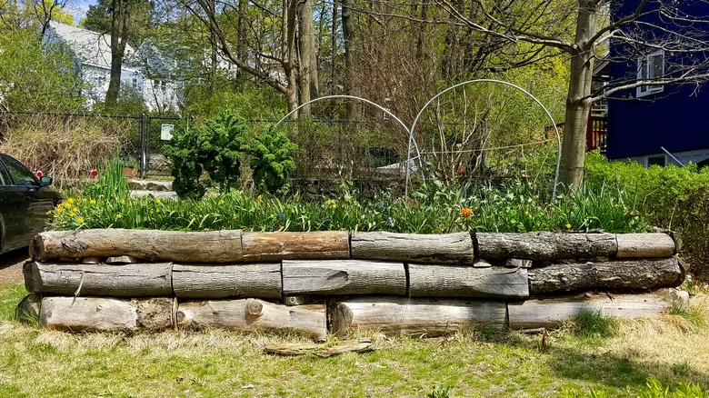 A Hugelkultur raised garden bed made out of wood