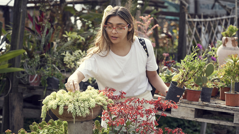 A woman shopping for plants at a garden center