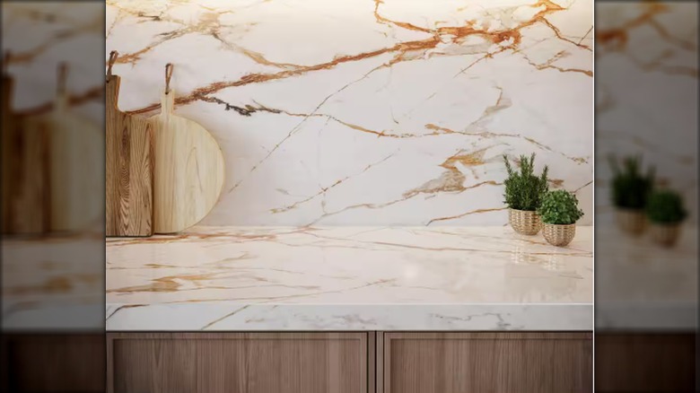Brown web veining on countertop and backsplash