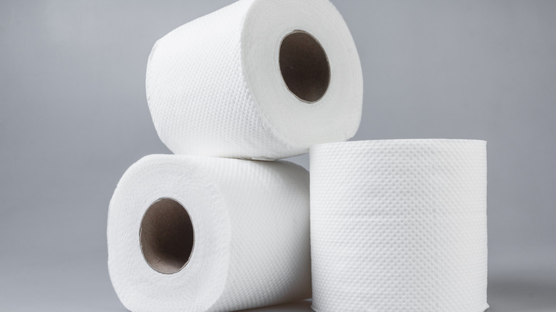 Rolls of toilet paper