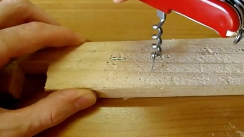 Corkscrew tool used to remove staples from wood