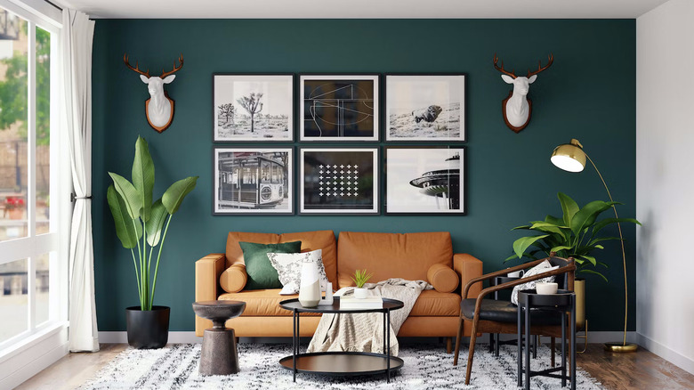 Dark teal accent wall 