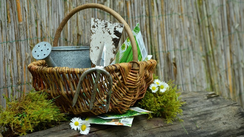 Basket with gardening fork, spade, watering can, and packets of seeds