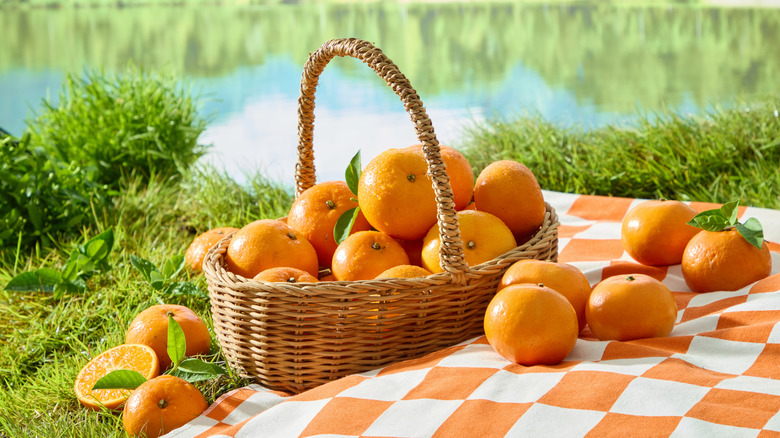 Picnic basket full of oranges outdoors next to a lake on an orange and white checked cloth