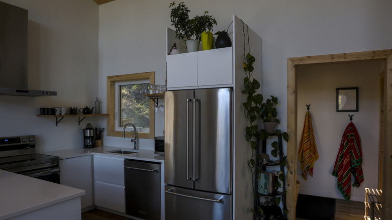 Custom fridge cover with houseplants on top