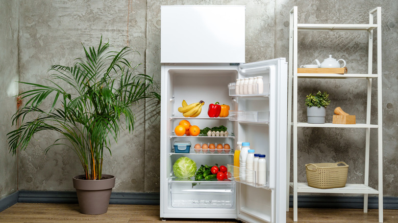 Fridge in its own room next to shelf and plant