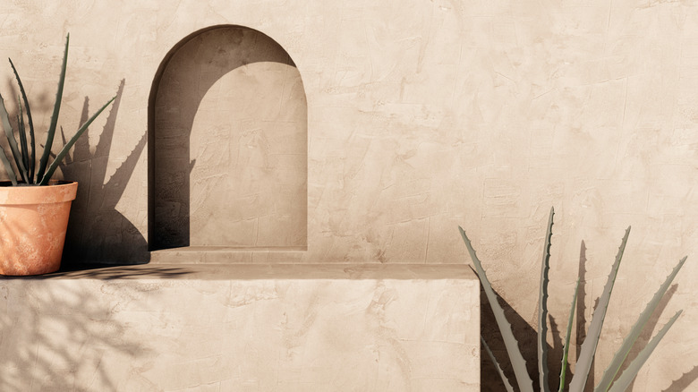 sandy home exterior with terracotta pots and aloe plants