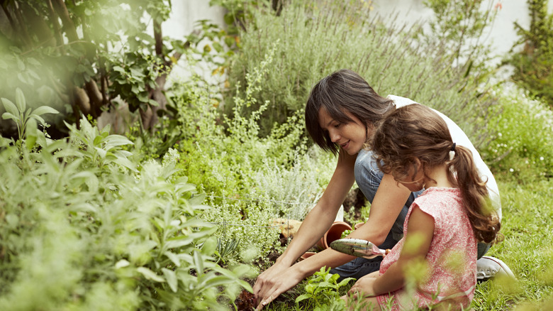 mother daughter gardening together