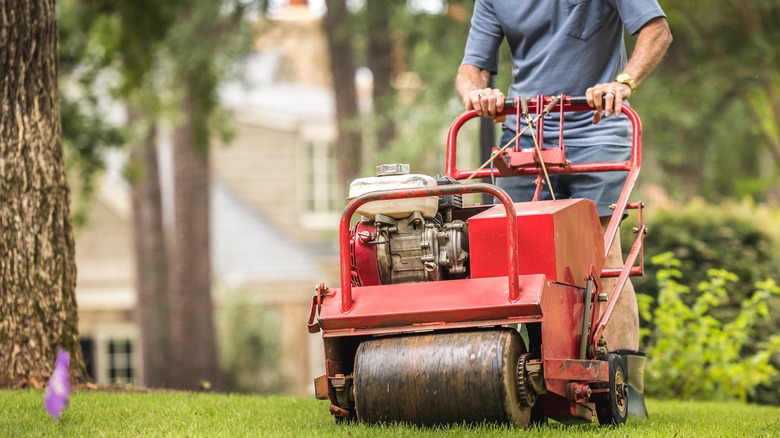 Man using aerate on grass