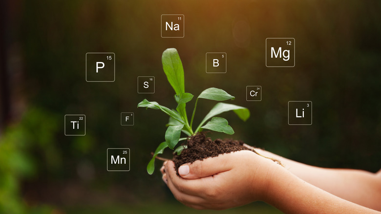 Holding soil and element symbols