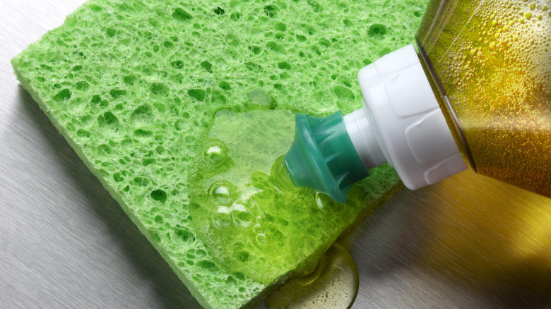 Person squeezing dish soap onto green sponge