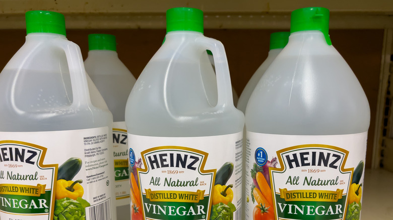 Large jugs of white vinegar on store shelves