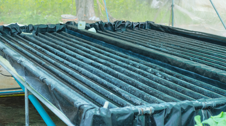 pvc gutters used for hydroponic gardening