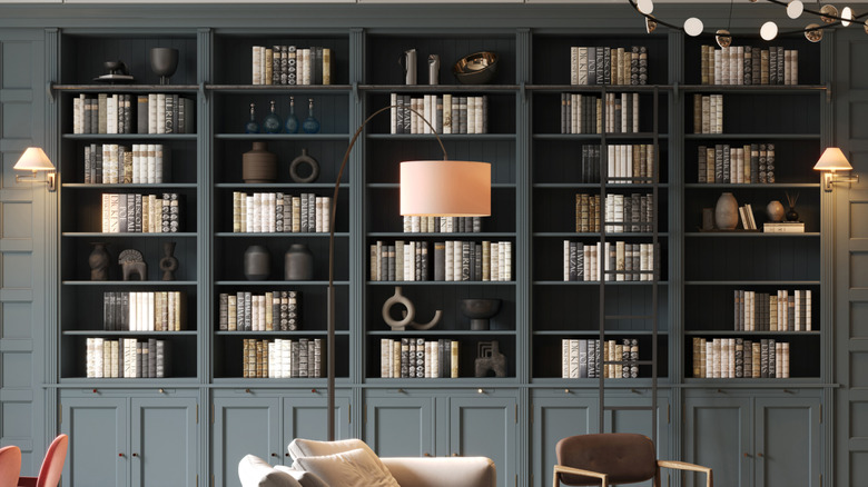 Bookshelf with colored back