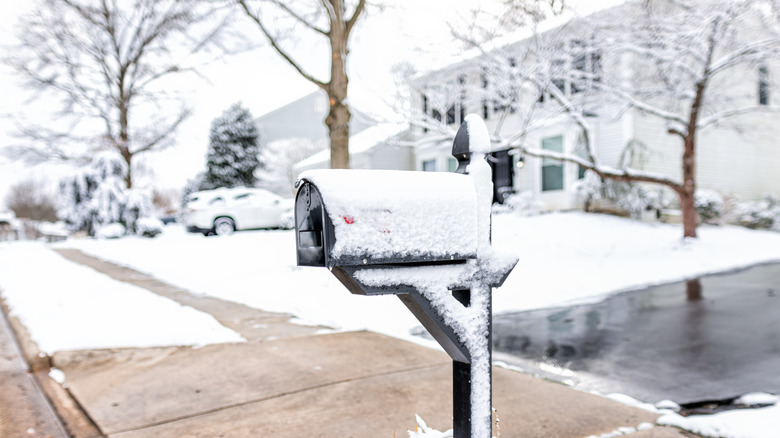 A well-maintained front yard with a clear driveway after snowfall