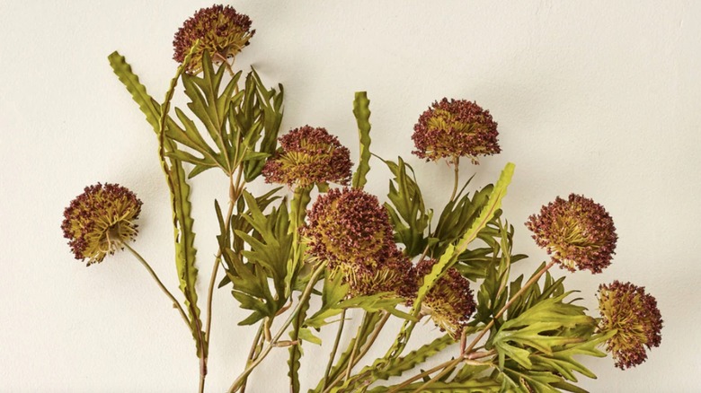 A spray of purple thistle