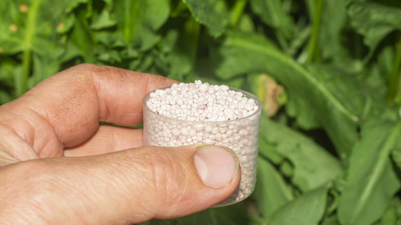 A man's hand holds a measuring cup with fertilizers.