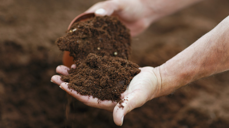 A person holding handfuls of soil