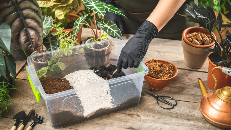 A person creating a potting soil mix