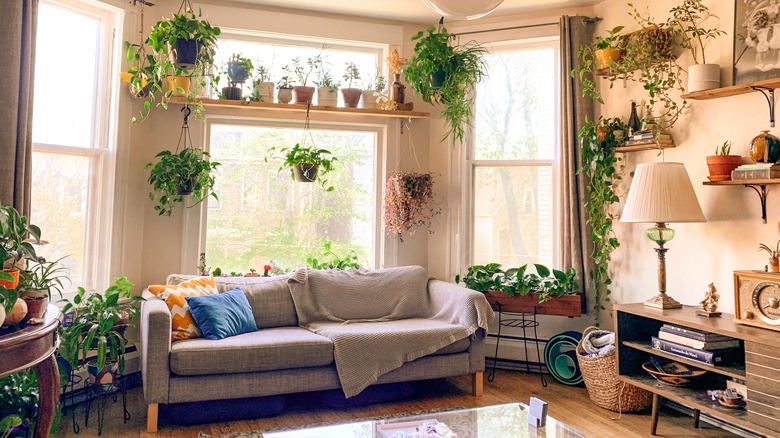 Boho living room many plants