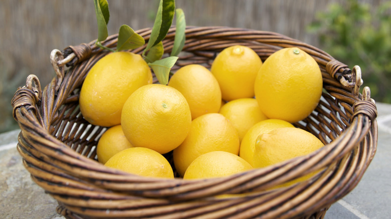 Ripe lemons in a wicker vasket on a stone patio