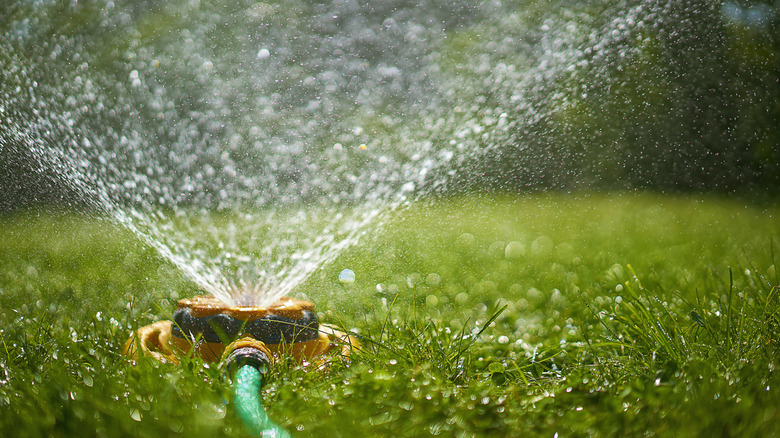 A sprinkler going off over a green lawn