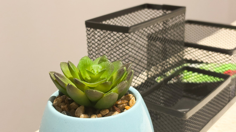 Metal organizer with faux plant on desk