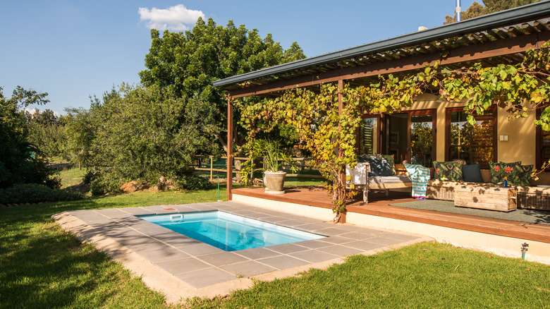 backyard with greenery and pool