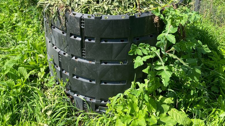 Compost filled with alfalfa hay and grass